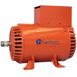 Gerador Trifásico 12,5 KVA Auto Regulado  - Bambozzi