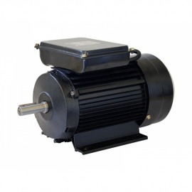 Motor Monofásico IP44 - 0,50CV - 2 Pólos - 110V/220V - Lynus