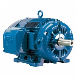 Motor Trifásico Blindado - 600CV - 4 Polos 315 com D/E WFH1 - 440V - WEG